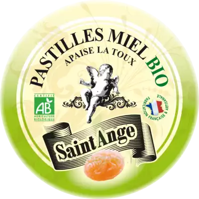 Saint-ange Bio Pastilles Miel Boite Métal/50g à Libourne